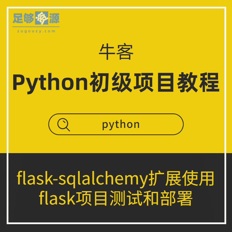 Python初级项目实战视频教程
