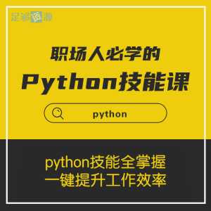 职场人必学的Python技能课