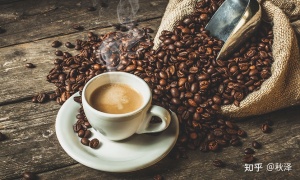 2021家用胶囊咖啡机推荐 | 胶囊咖啡机是智商税吗？| Nespresso、Illy、Dolce Gusto、德龙等不同品牌价位全分析